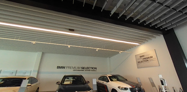 Lion Car, s.r.o. - Predajca automobilov