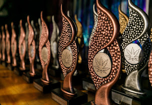 Photo n°4 de Bioparadize CBD shop | Epernay à Épernay (Magasin de cannabis)