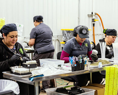 Photo of Pecos Valley Production - Dispensary & Wholesale