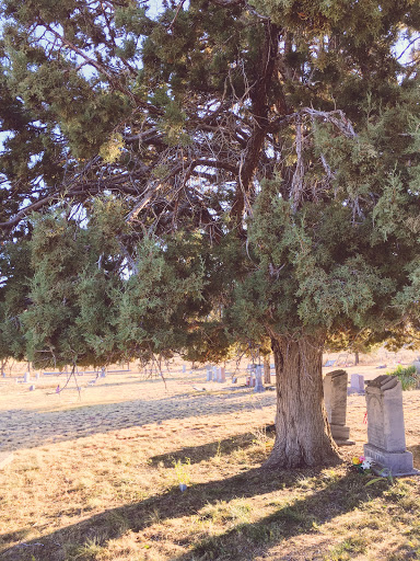 Paisley Cemetery - Thumbnail