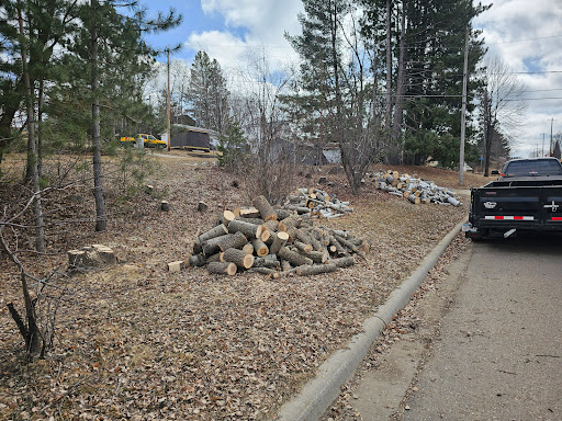 AAA Tree Removal - Thumbnail