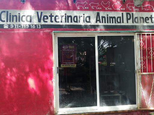 Veterinaria Planeta Animal - Thumbnail