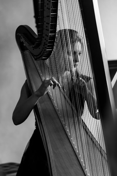 Tyler Hartley, Atlanta Harpist