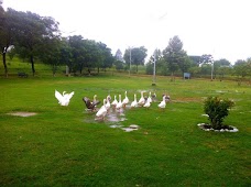 Lake (Jheel) Park wah-cantt