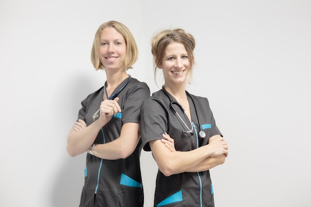 Vétérinaires félins - Entre Chats - Vétérinaires réservés aux chats