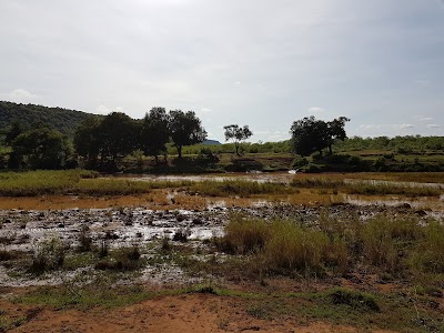 Photos of Makuya Picnic Camp