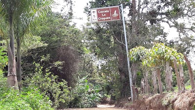 Photos of Restaurante Las Brisas