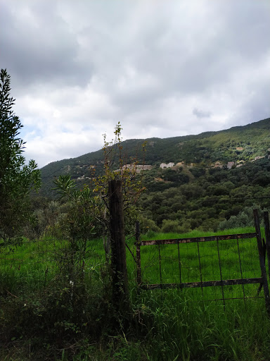 Sud Corse Immobilier