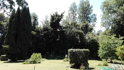 Photos of Hotel Interlaken