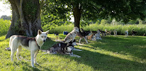 Latitude Nordique à Braslou