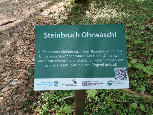 Ohrwaschl - Thumbnail