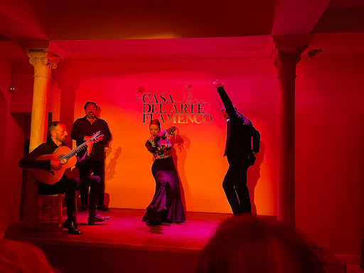 Casa del Arte Flamenco - Thumbnail