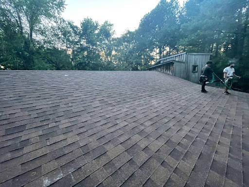 Four Leaf Roofs - Visual