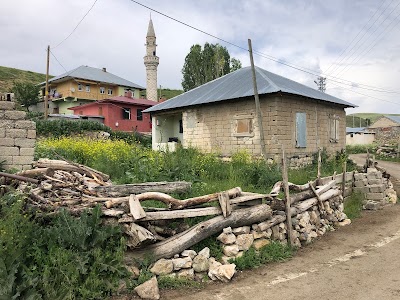 Yukarı Dormeli Köyü