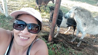 Photos of Quinta San Antonio