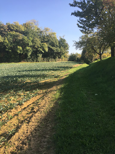 Parco Rivella - Visual