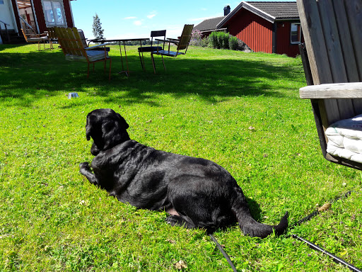 Gäddvikens Våffelbruk - Thumbnail