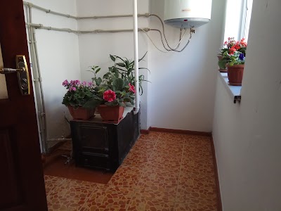 Photos of Guest House Elvira