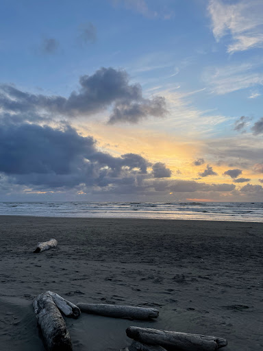 Kalaloch Beach 3