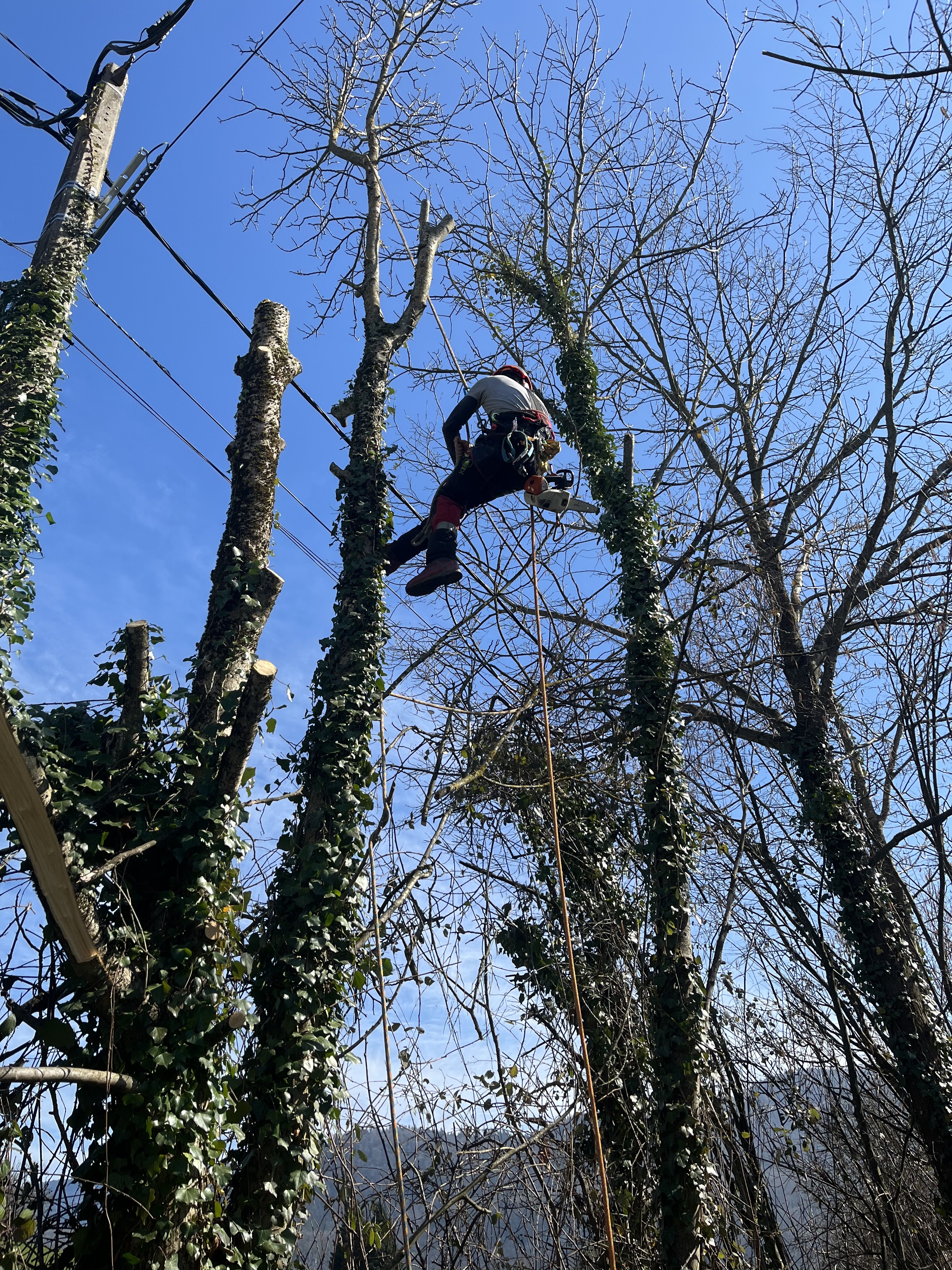 L'équipe Clément et Estelle