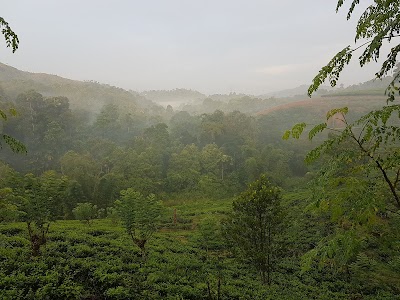 Photos of Wirawa estate
