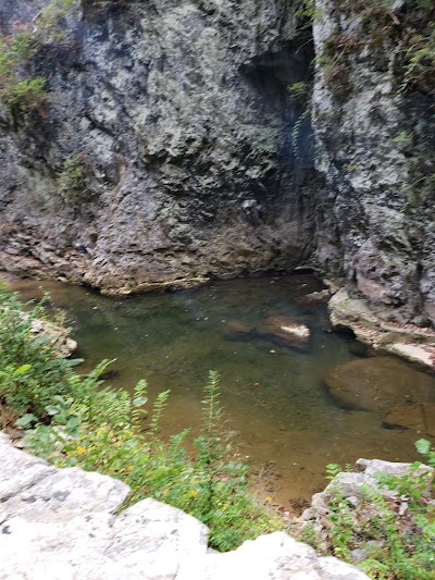 Caverns at Natural Bridge