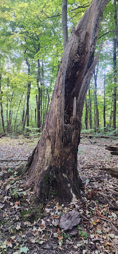 Williamsburg to Batavia Hike-Bike Trail - Zagar Rd. Parking Lot Gallery - United States