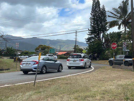 Weed Circle + Kamehameha Hwy