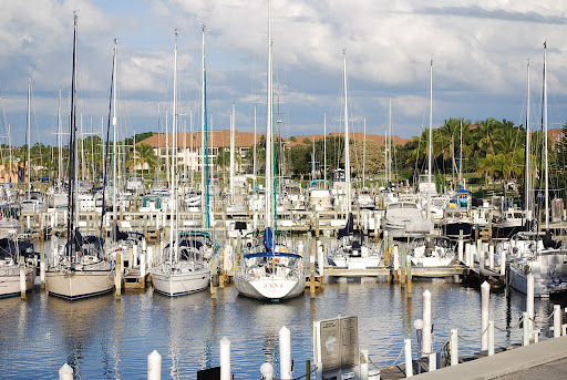 Whitecaps Sailing - Visual