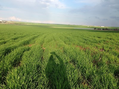 Photos of Dicle &Uuml;nv. Tıp Fk. Sağlık Ve Araştırma Hastanesi g&ouml;z doktorları