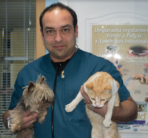 UVI Animal Hospital