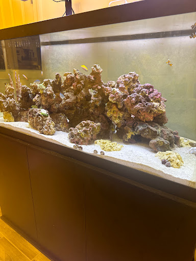 The Fish Store / Custom Aquariums
