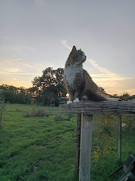 Photo n°12 de Les Pourettes Camping, Studio, Cabana, Safaripod à Feusines (Terrain de camping)