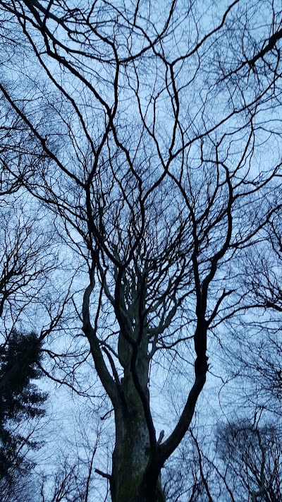 Photos of Vingsted Jernalderlandsby