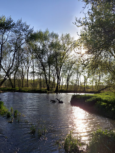 Pechman Creek Delta - Thumbnail