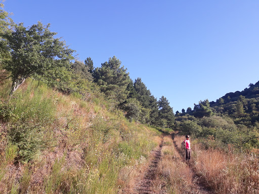 Collado del Prenzal
