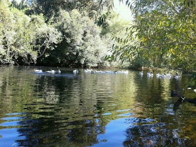 Photos of Camping Aguas Claras de Victoria