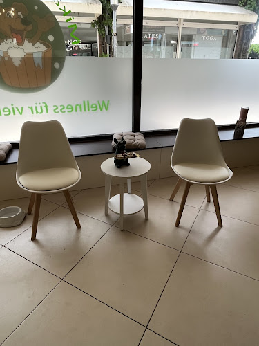 Mikas Hundesalon
