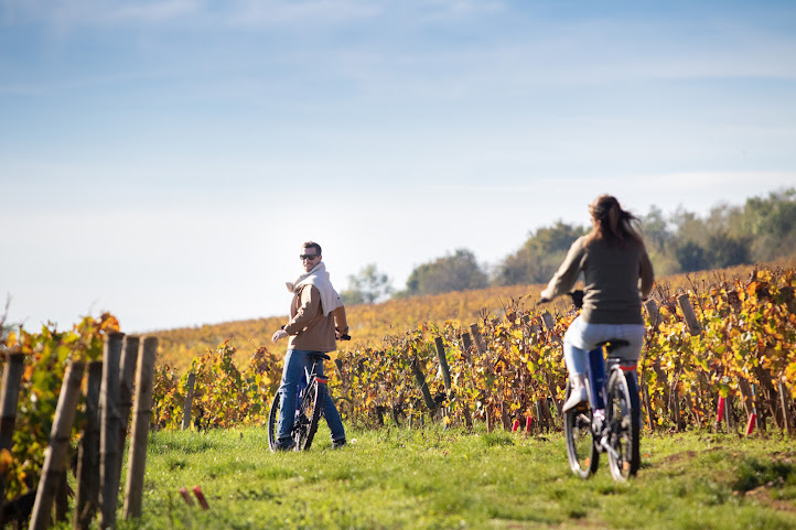 Huttopia Wine Country - Northern California by null