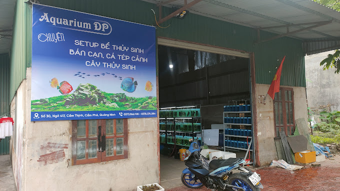 Cá Cảnh Đức Phúc