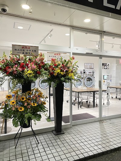 コインランドリー Carat