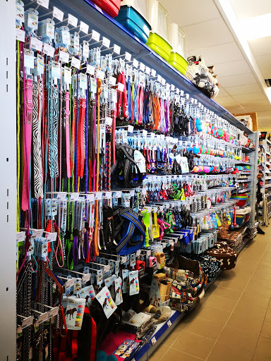 CVN Store - Visual