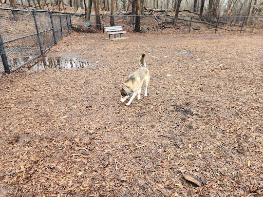 East Providence Dog Park