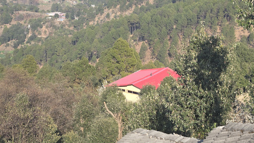 Gallery image 10
