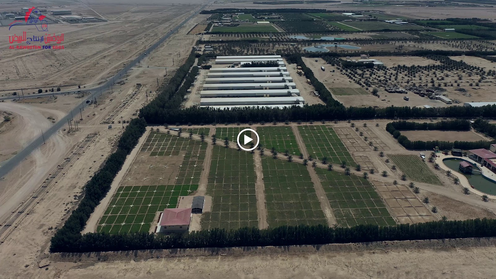 شركه الاستثمار الوطنية للتجاره العامه بيض الروضتين - صورة 2