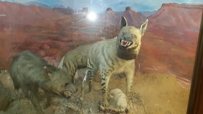 Photos of Natural History Museum - University of Baghdad
