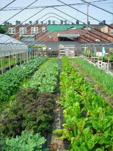 Greensgrow Farms by null