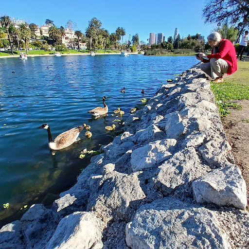 Echo Park Ave & Park Ave (Northbound) - Thumbnail