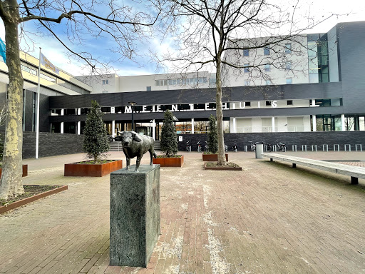Oss - Visual