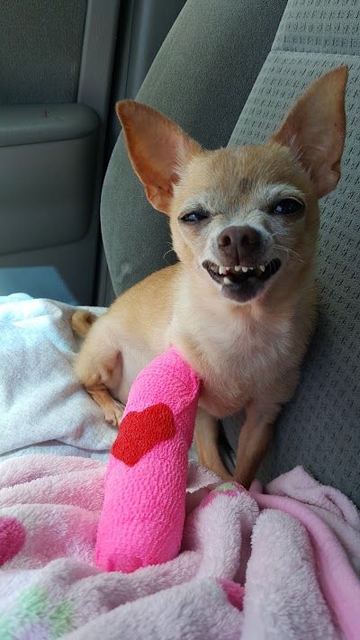 Photos of Bay Beach Veterinary Hospital